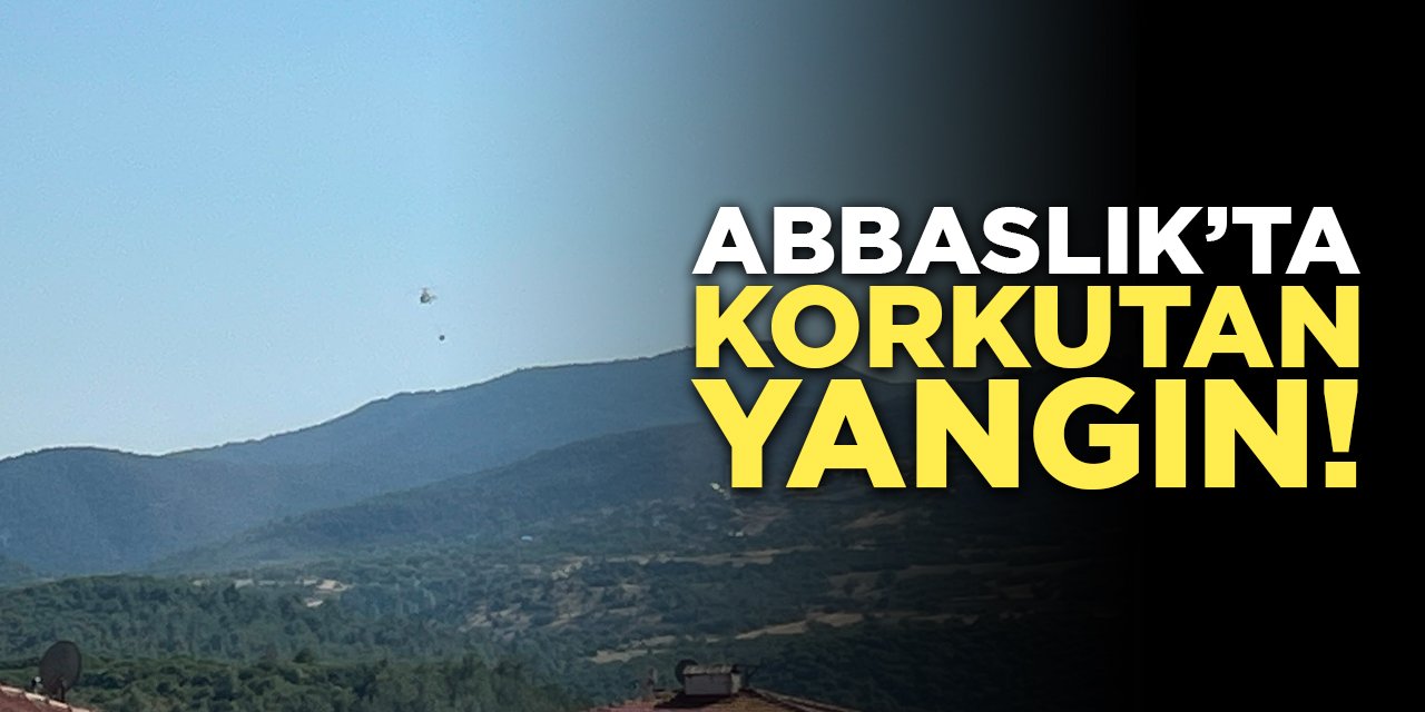Abbaslık'ta korkutan yangın!
