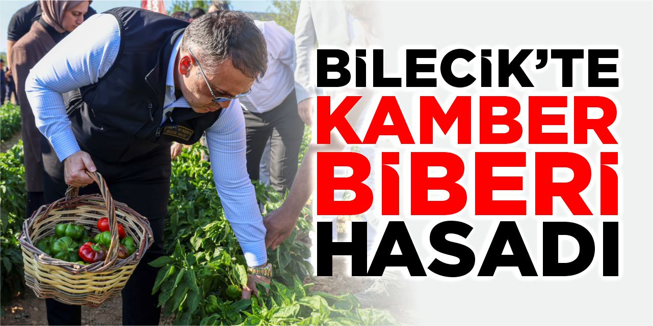 Bilecik'te Kamber Biberi hasadı