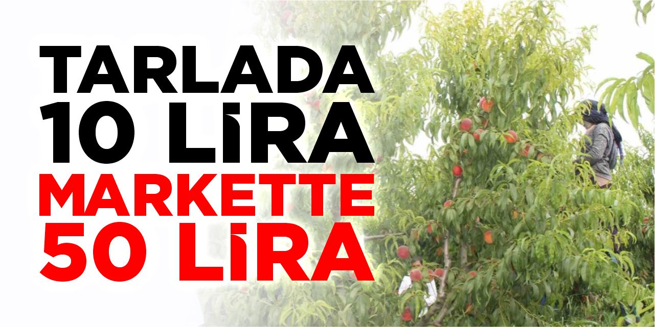 Tarlada 10 lira markette 50 lira!