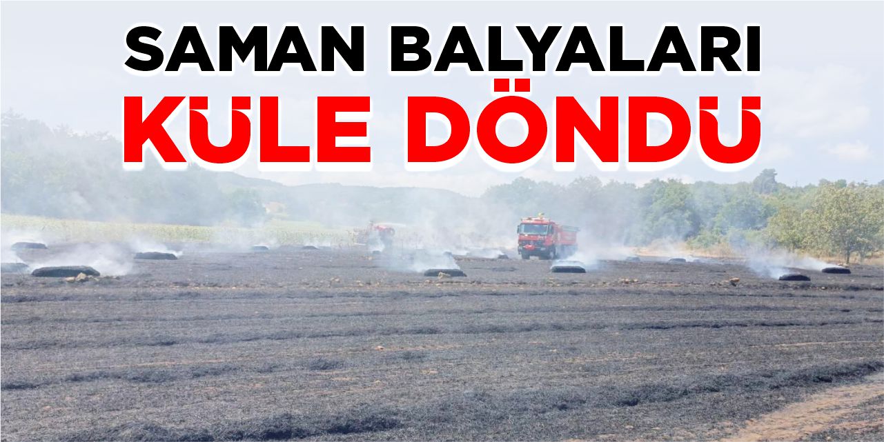 Saman balyaları küle döndü