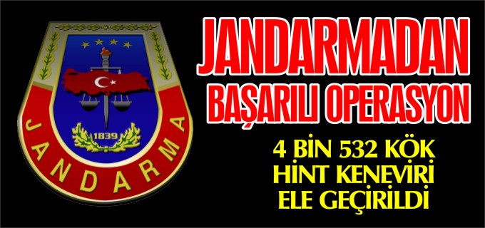JANDARMADAN BAŞARILI OPERASYON