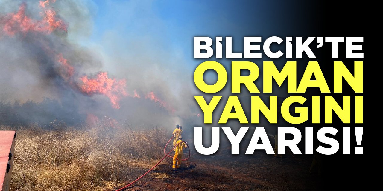 Bilecik'te Orman Yangını Uyarısı