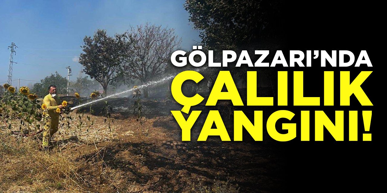 Gölpazarı'nda Çalılık Yangını!