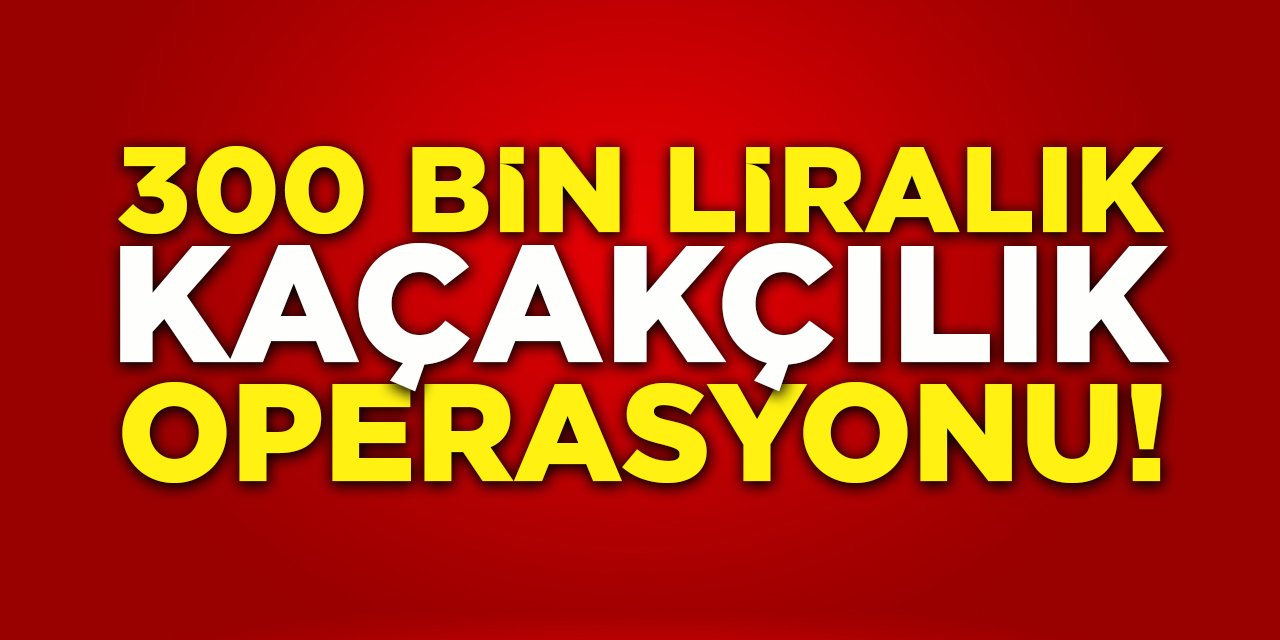 Bilecik'te 300 Bin Liralık Kaçakçılık Operasyonu!
