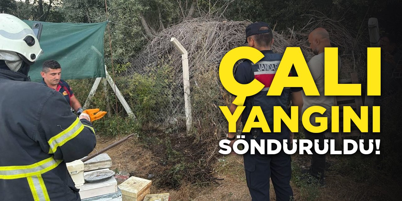Çalı Yangını Söndürüldü!
