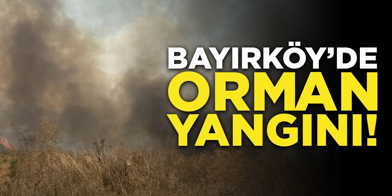 Bayırköy'de Orman Yangını!