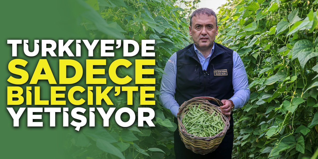 Türkiye'de Sadece Bilecik'te Yetişiyor