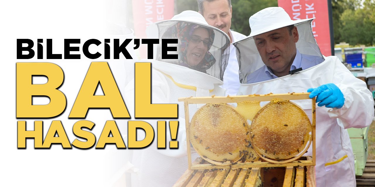 Bilecik'te Bal Hasadı!