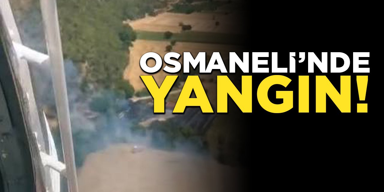 Osmaneli'nde Yangın!