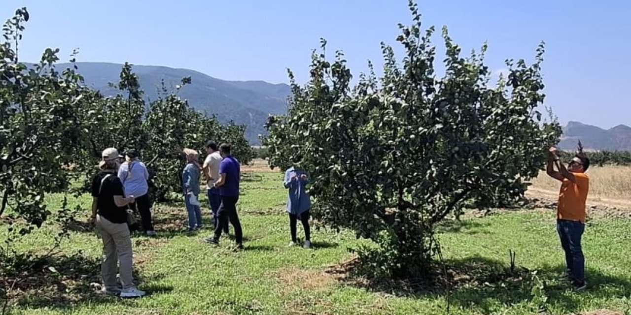 Bilecik'te Bitki Sağlığı Taraması
