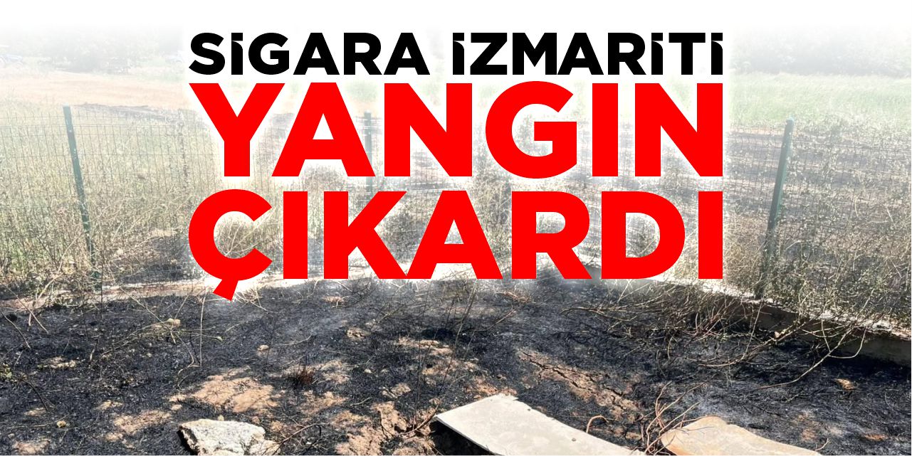 Sigara izmariti yangın çıkardı