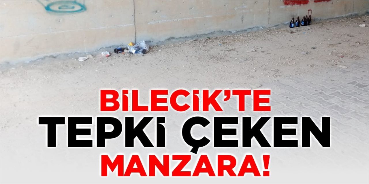Bilecik’te tepki çeken manzara!