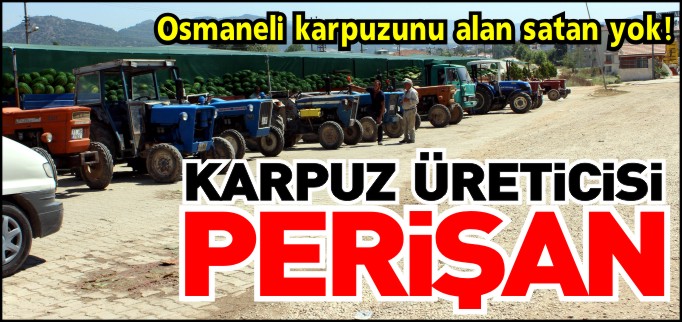 KARPUZ ÜRETİCİSİ PERİŞAN