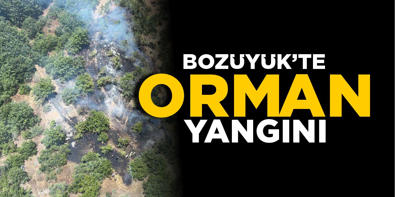 Bozüyük'te orman yangını
