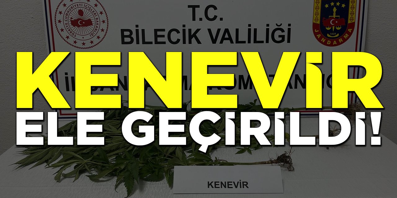Kenevir Ele Geçirildi!