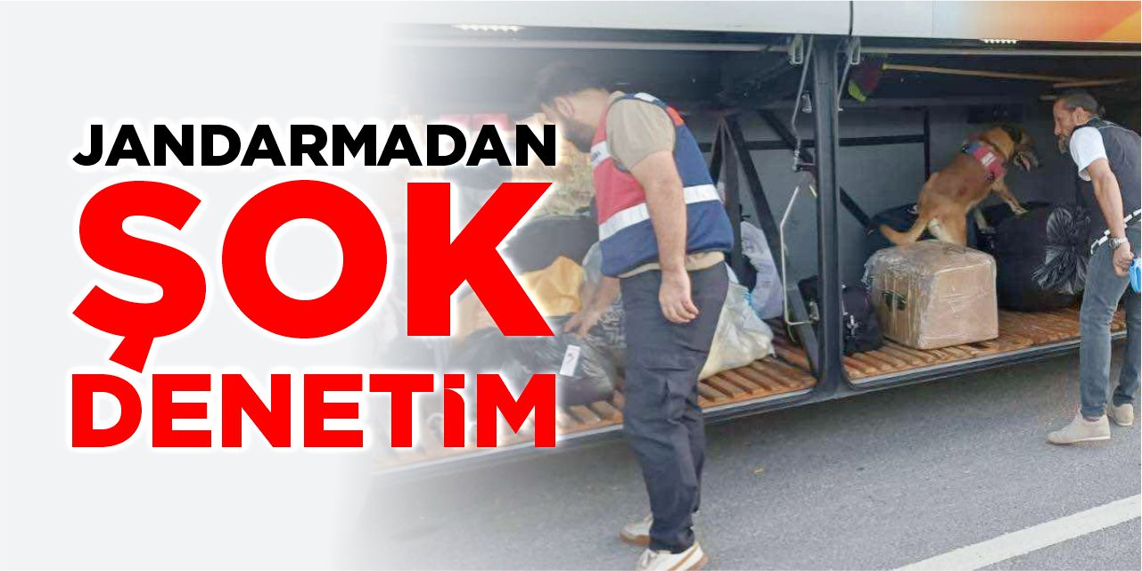 Bilecik'te jandarmadan şok denetim