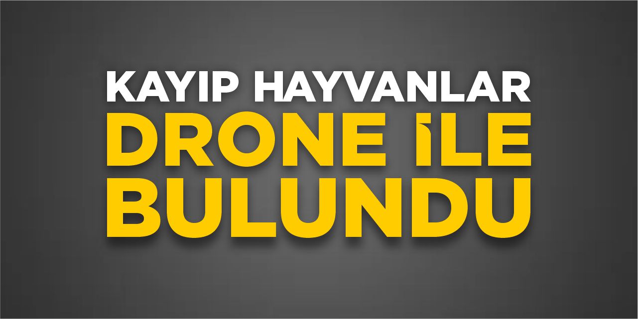 Kayıp hayvanlar drone ile bulundu