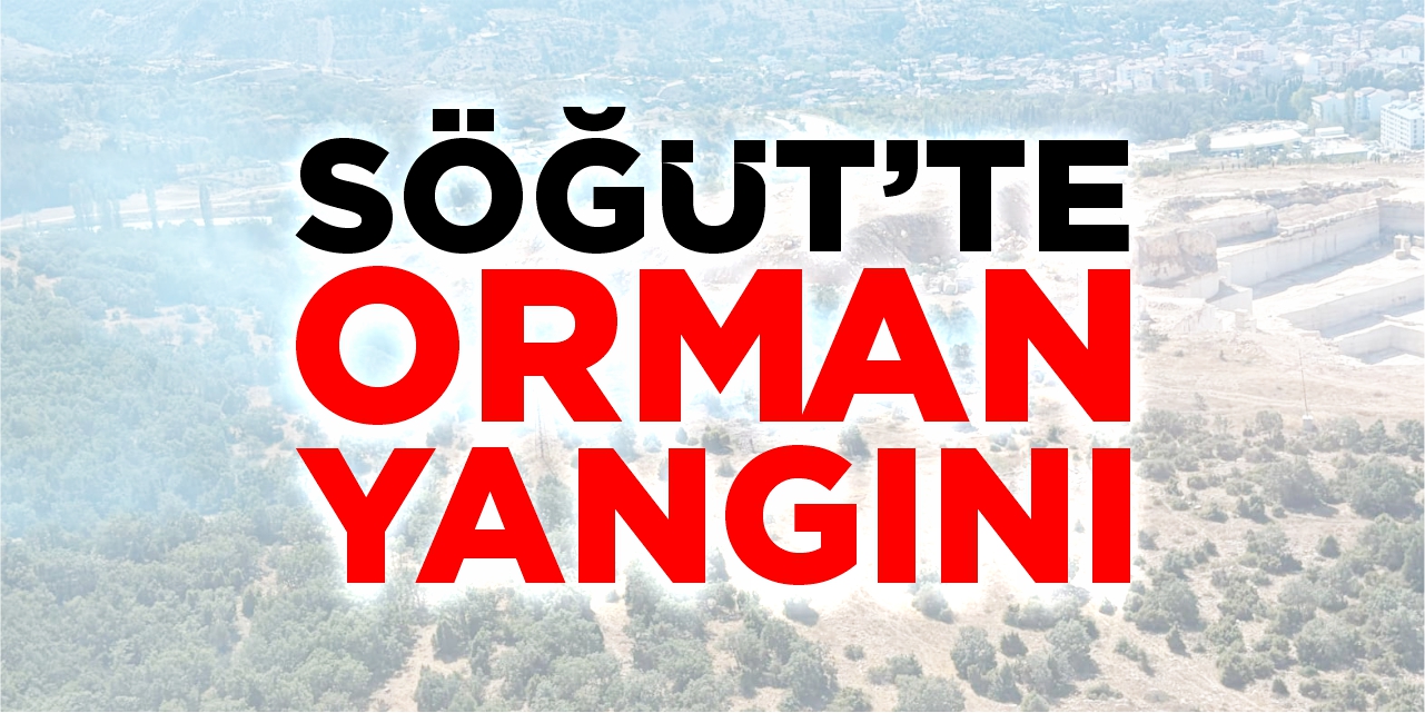 Söğüt'te orman yangını