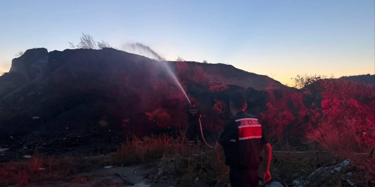 Bilecik'te Ot Yangını!