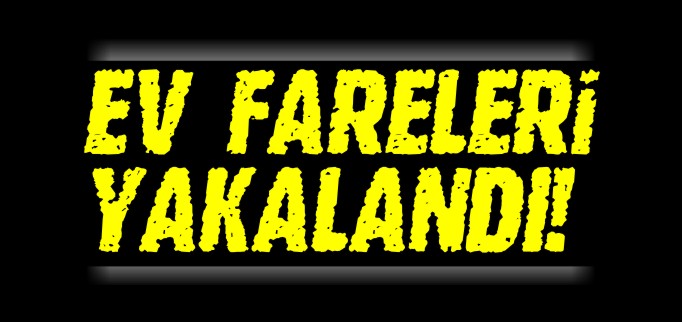 EV FARELERİ YAKALANDI