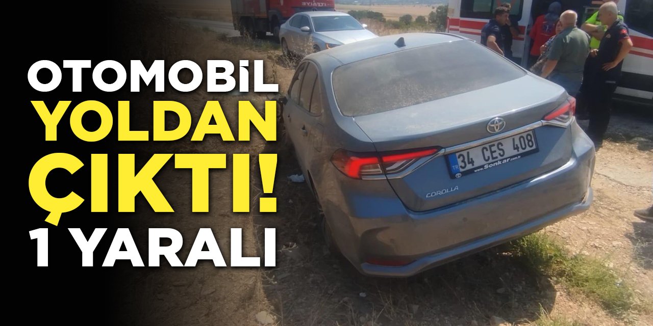 Otomobil Yoldan Çıktı! 1 Yaralı