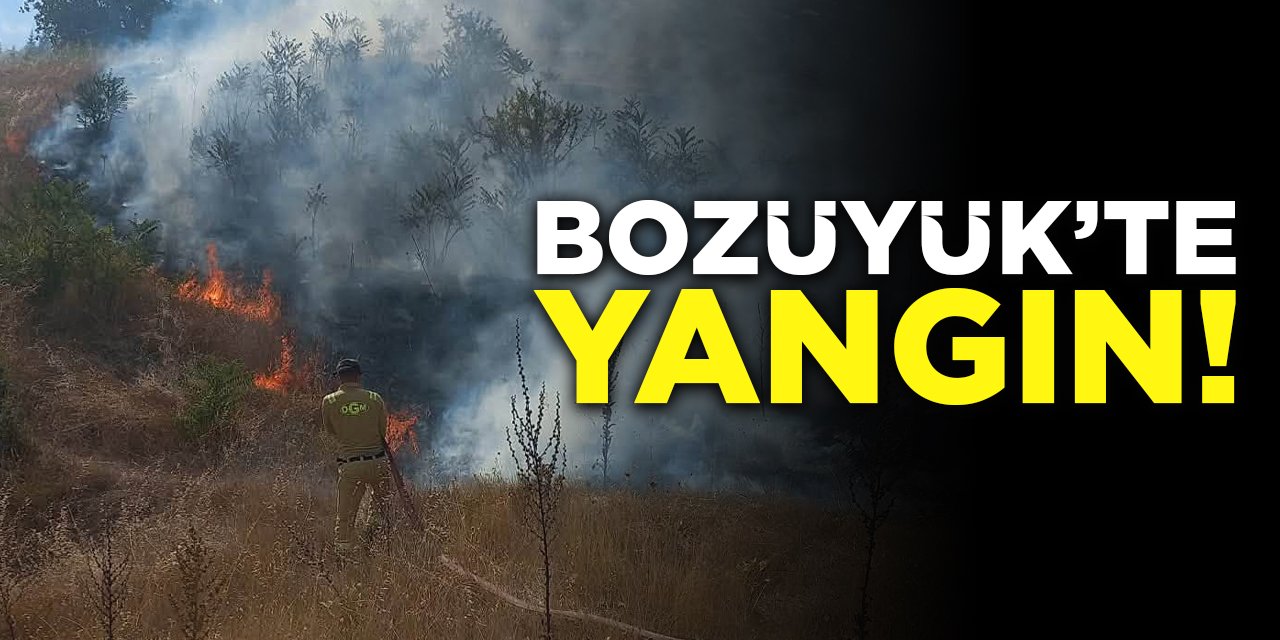 Bozüyük'te Yangın!