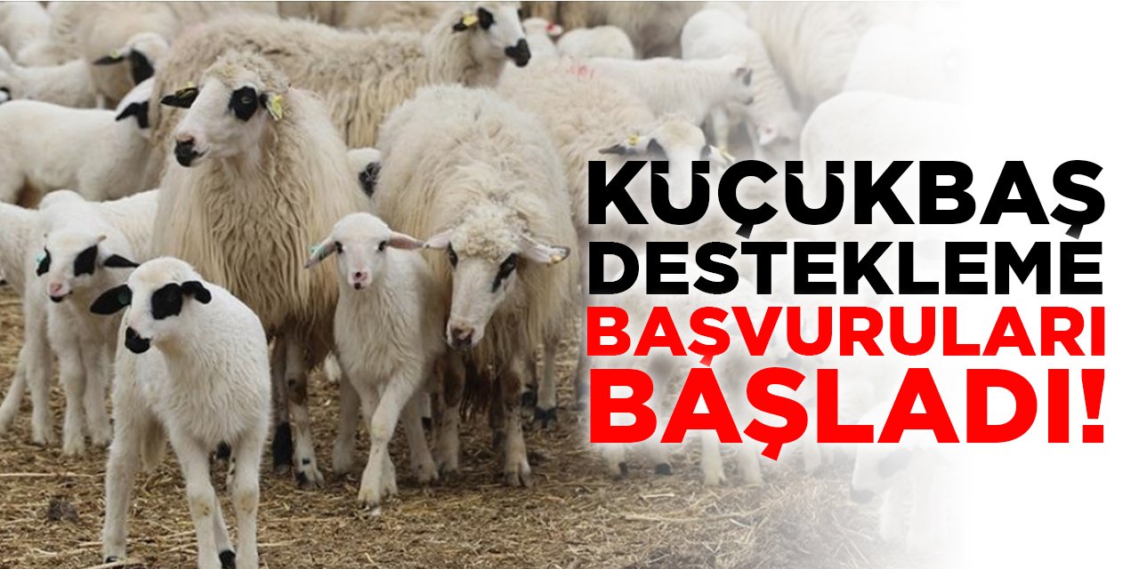 Küçükbaş Destekleme Başvuruları Başladı