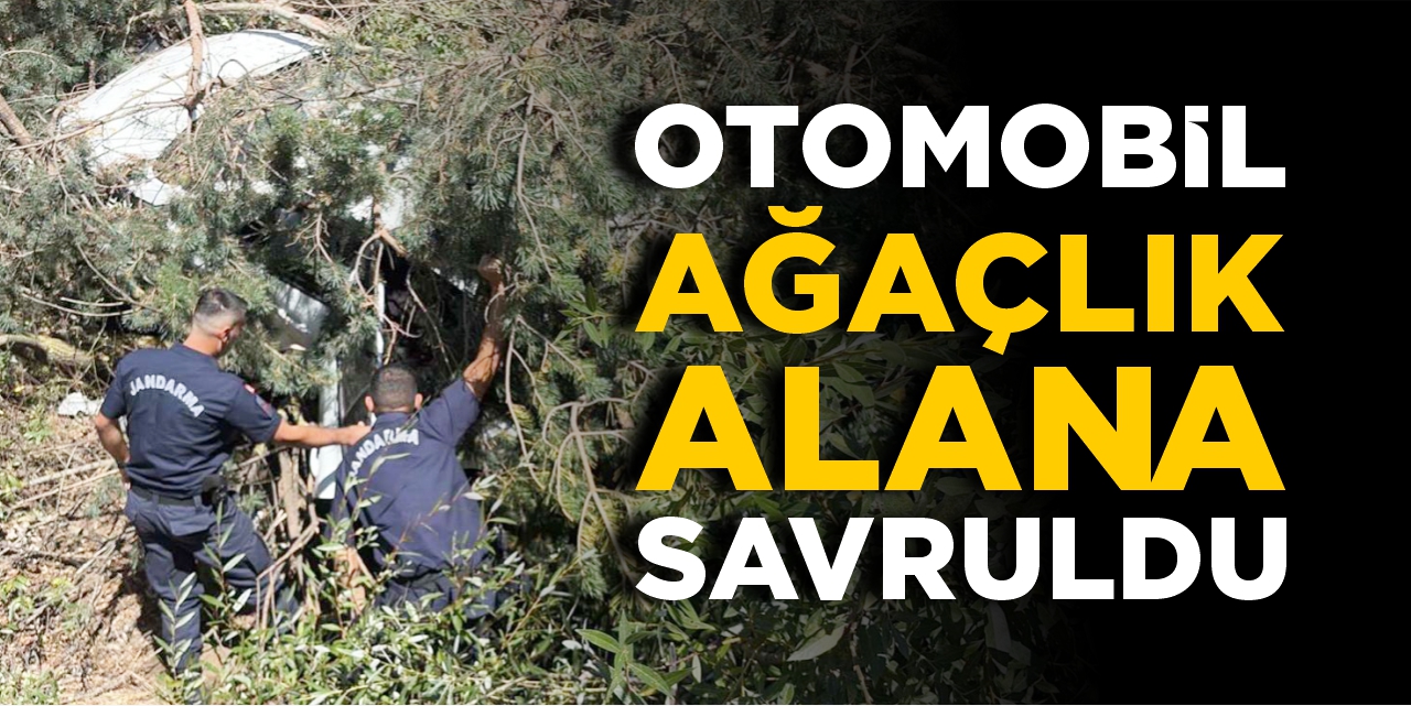 Bilecik’te otomobil ağaçlık alana savruldu