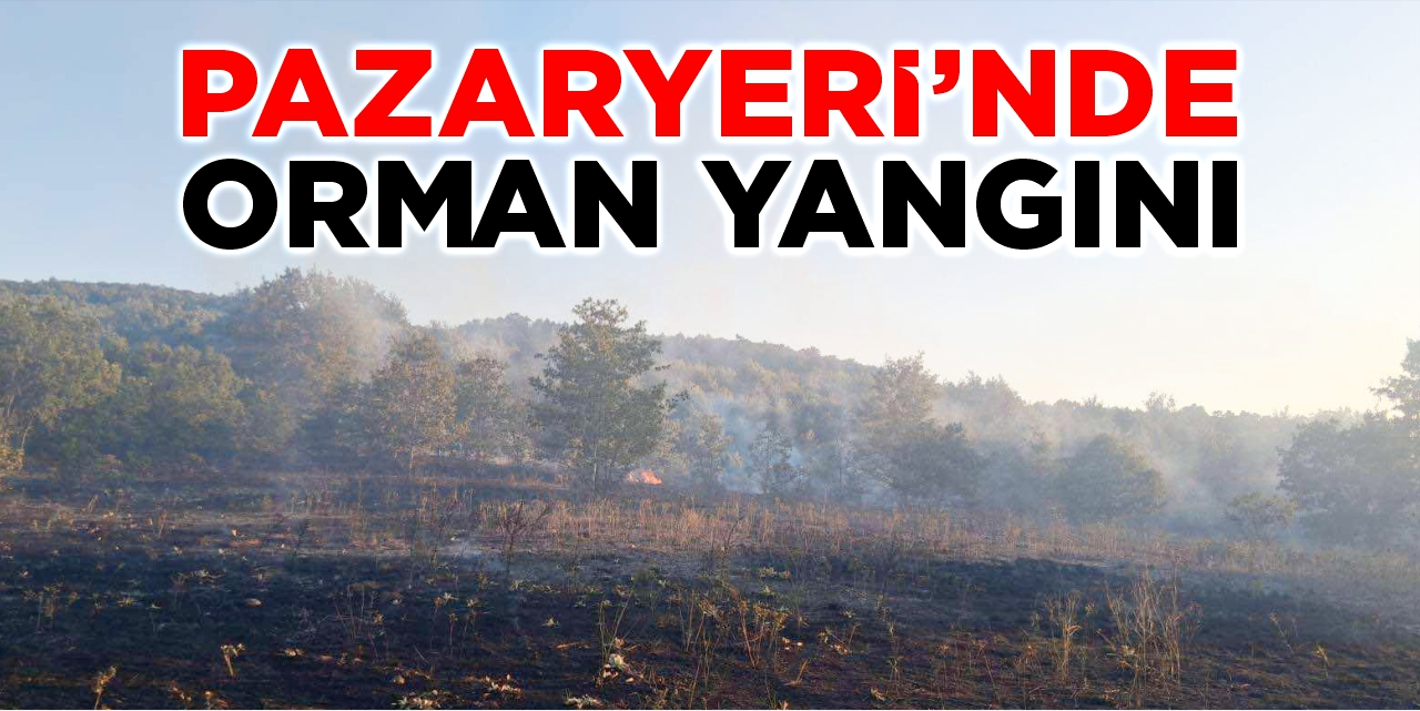 Pazaryeri’nde orman yangını