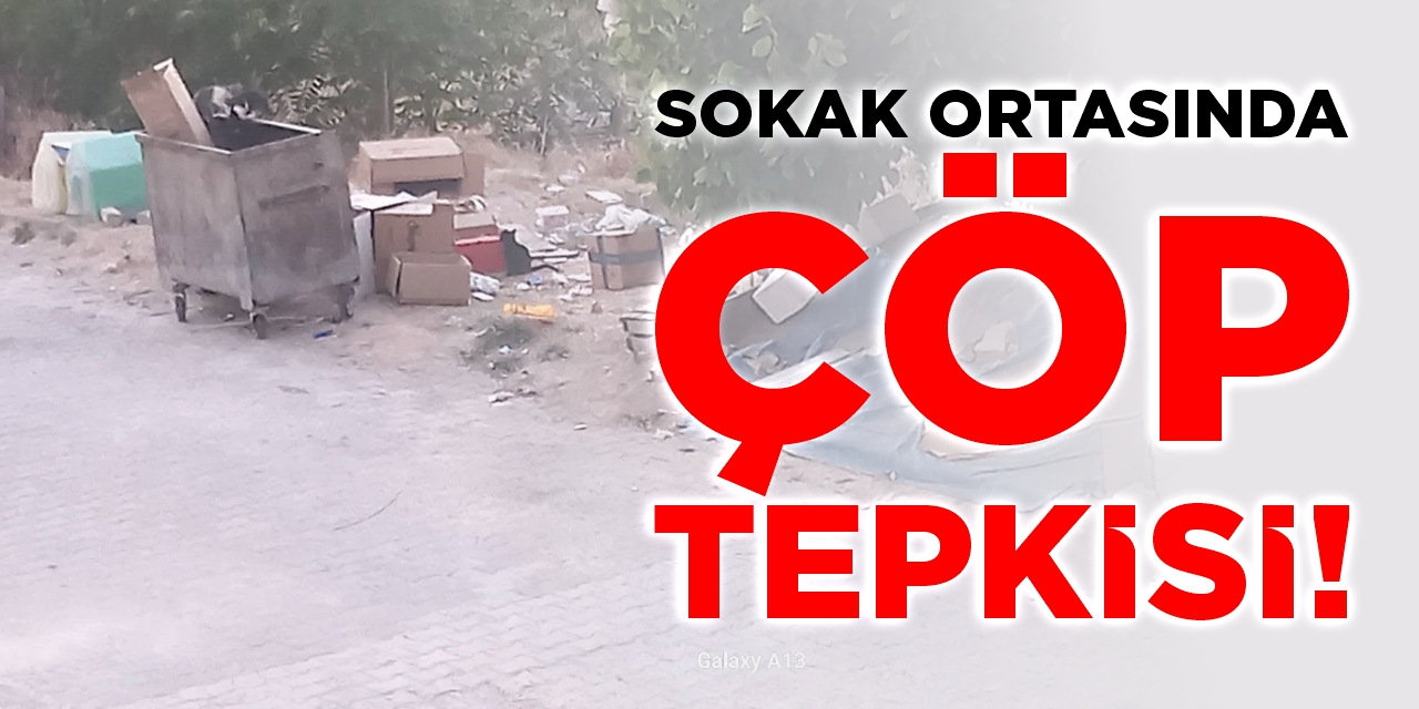 Bilecik’te sokak ortasında çöp tepkisi!