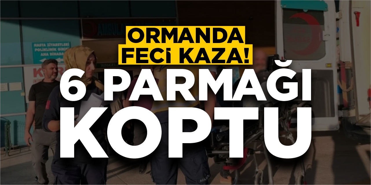 Ormanda feci kaza: 6 parmağı koptu!