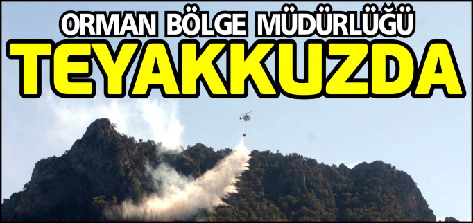 ORMAN BÖLGE MÜDÜRLÜĞÜ TEYAKKUZDA