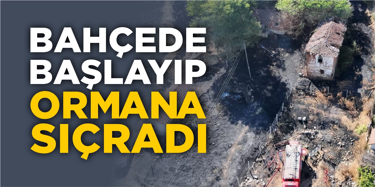 Bahçede başlayan yangın ormanlık alana sıçradı