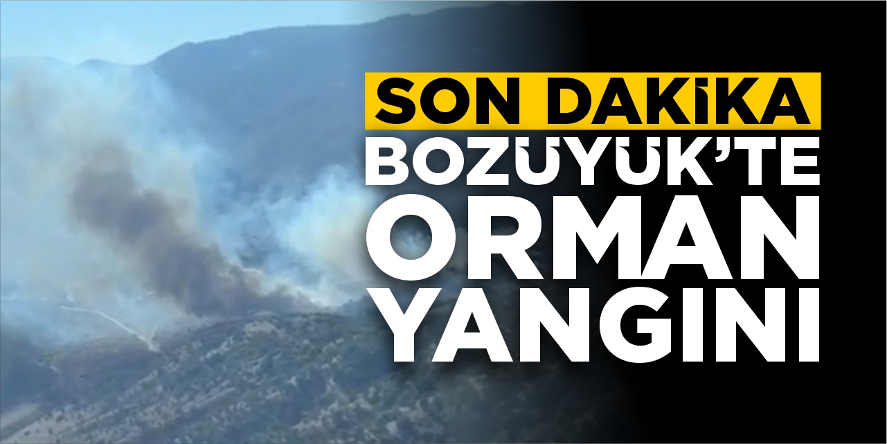 Son dakika! Bozüyük'te orman yangını!