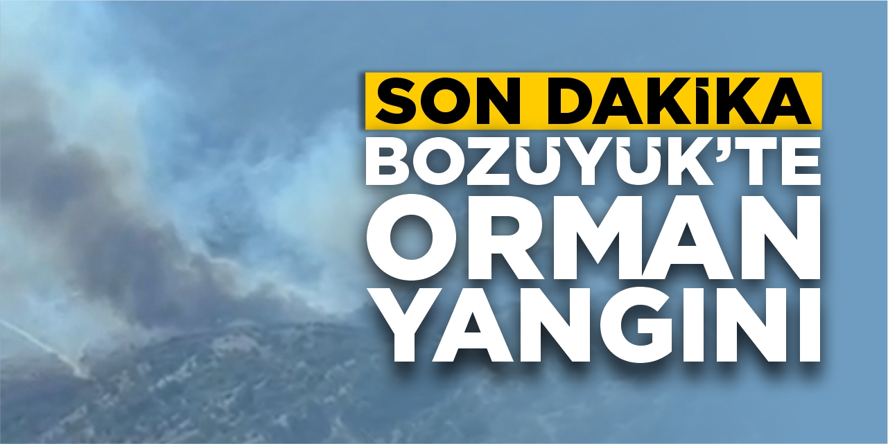 Son dakika! Bozüyük'te orman yangını!