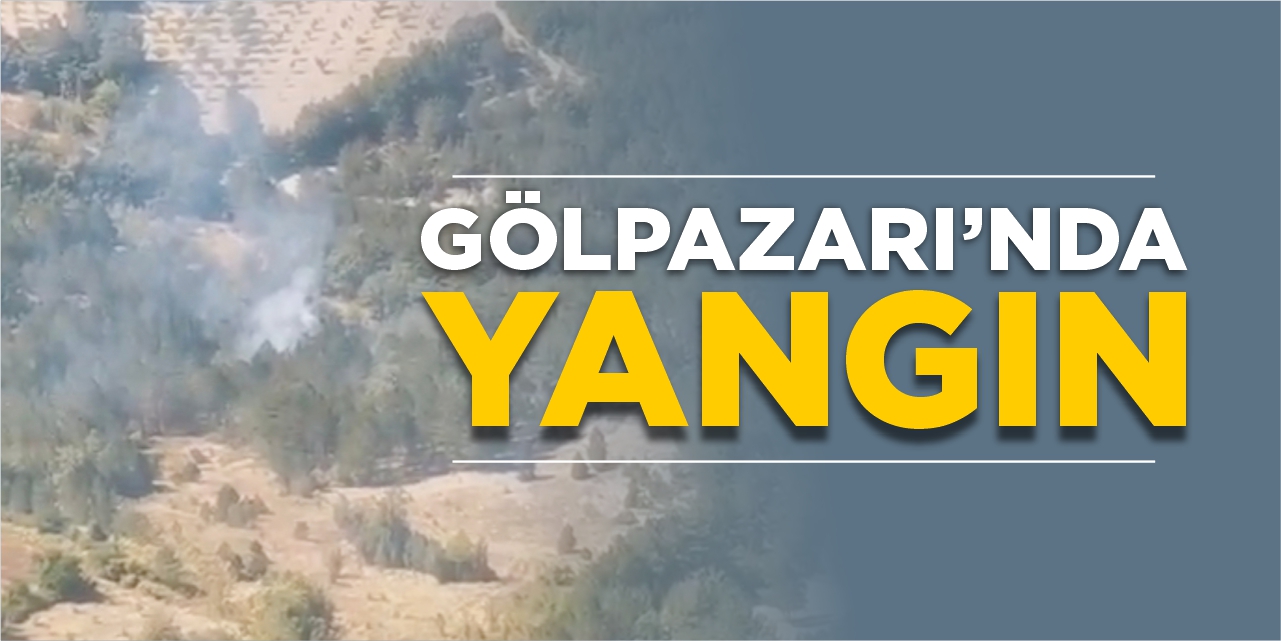 Gölpazarı’nda yangın