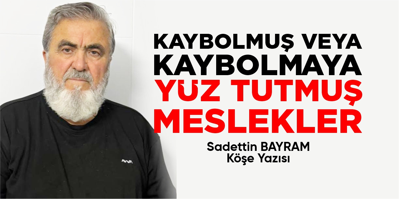 KAYBOLMUŞ VEYA KAYBOLMAYA YÜZ TUTMUŞ MESLEKLER