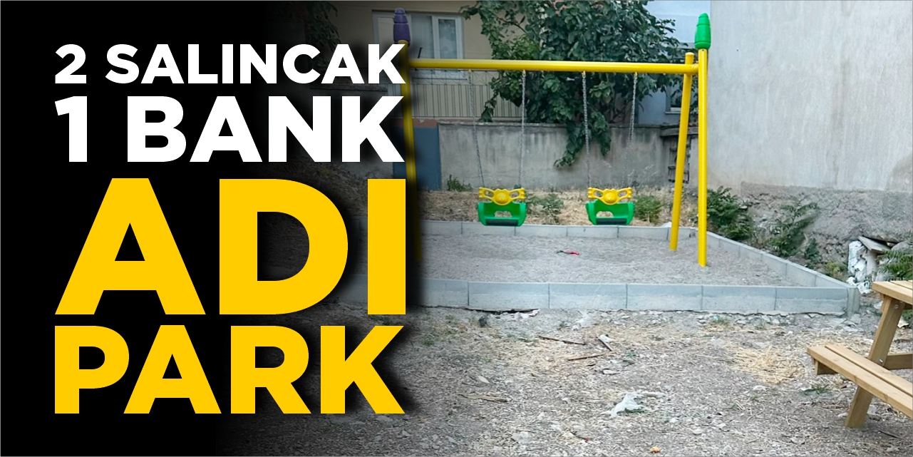 2 salıncak 1 bank: Adı park!