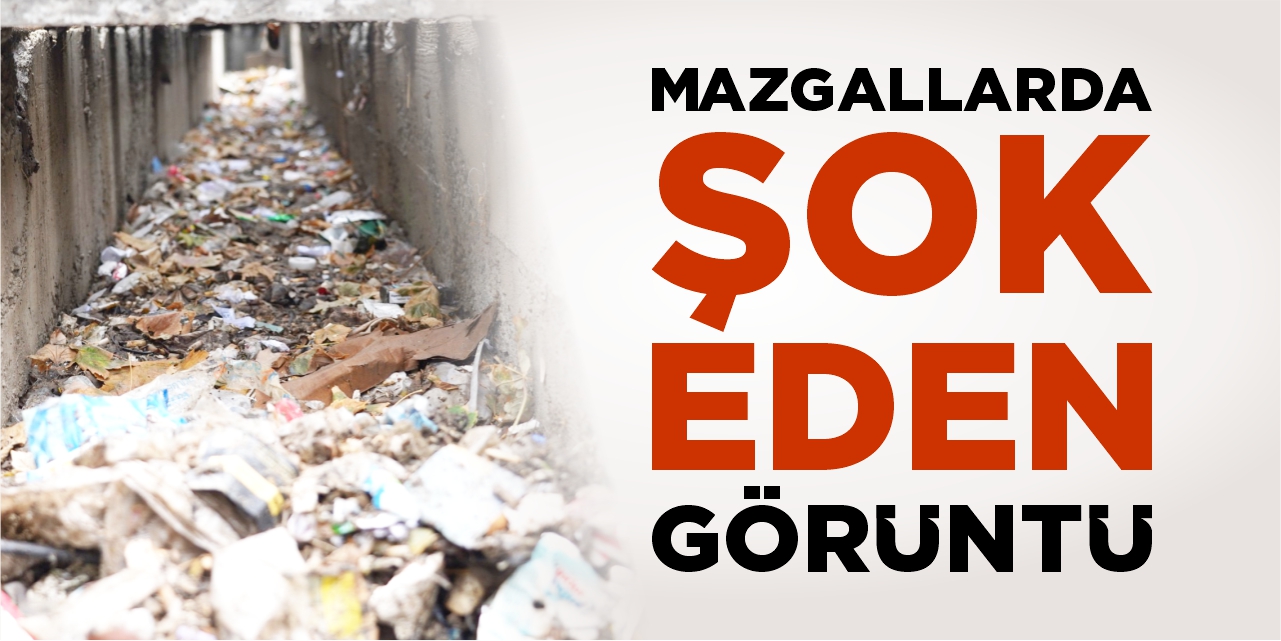 Bilecik’te mazgallarda şok eden görüntü!