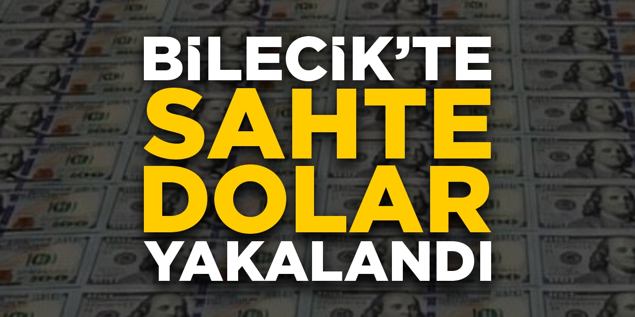 Bilecik’te sahte dolar yakalandı