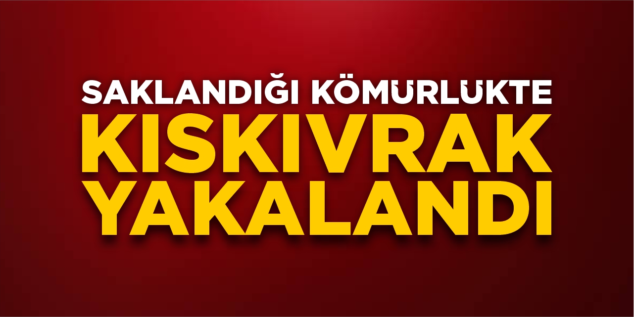 Saklandığı kömürlükte kıskıvrak yakalandı!
