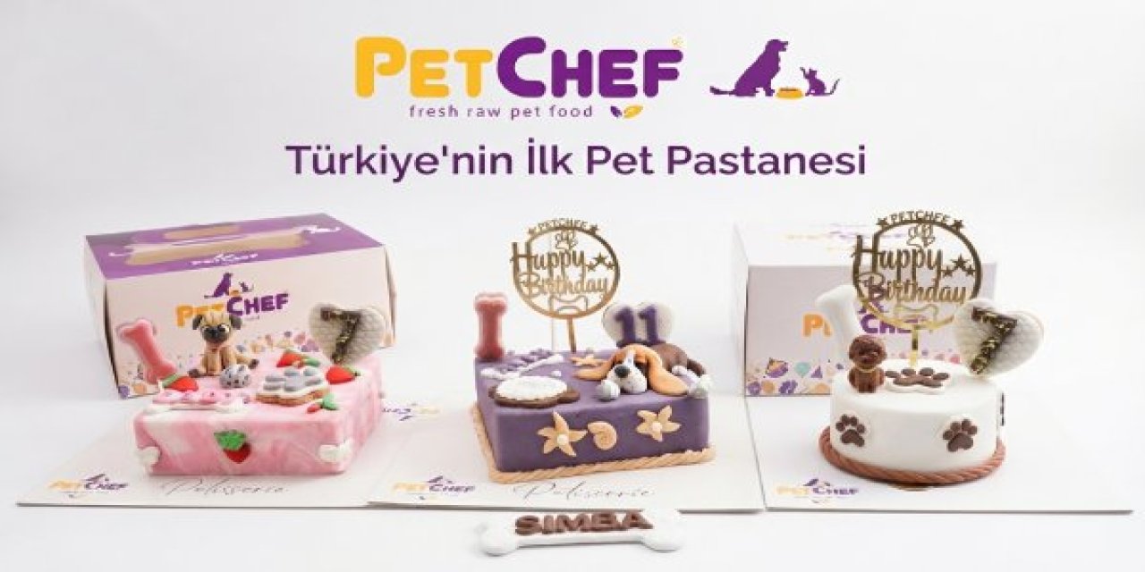 PetChef Nasıl "Türkiye'nin İlk Pet Pastanesi" Oldu?