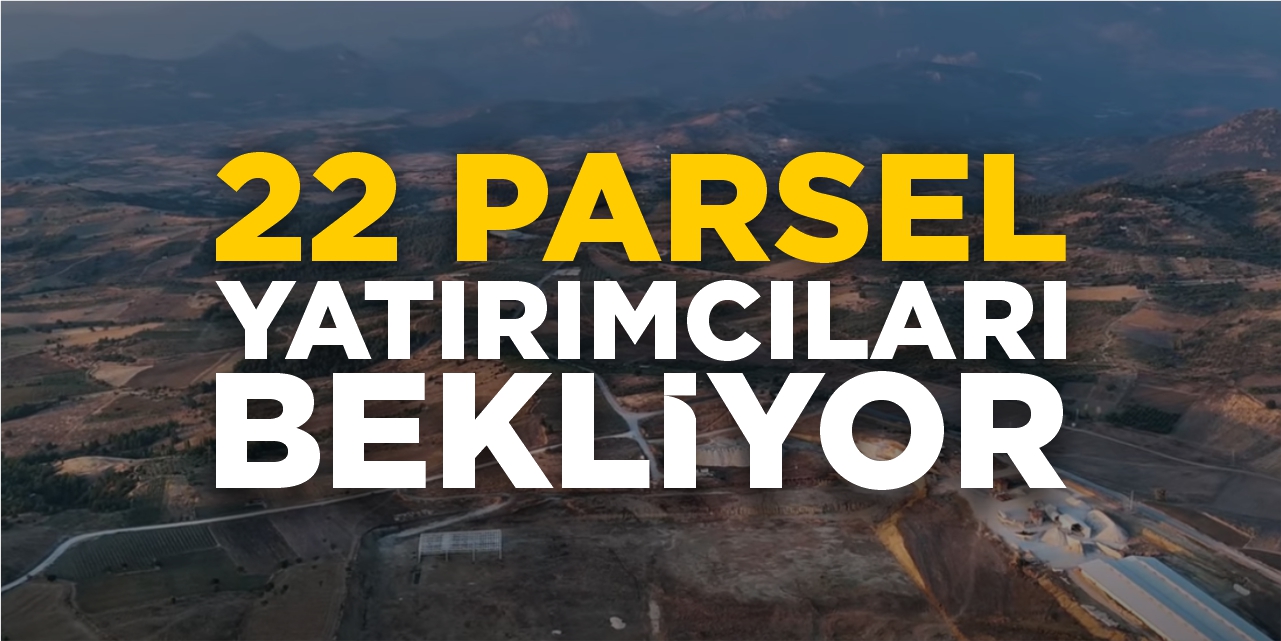 Söğüt OSB'de yatırım fırsatı! 22 parsel yatırımcıları bekliyor!