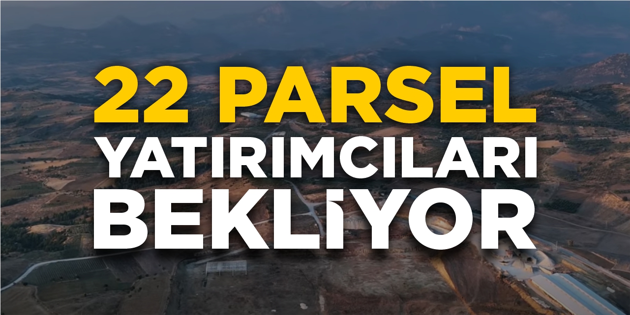 Söğüt OSB'de yatırım fırsatı! 22 parsel yatırımcıları bekliyor!