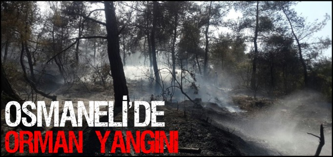 OSMANELİ’DE ORMAN YANGINI
