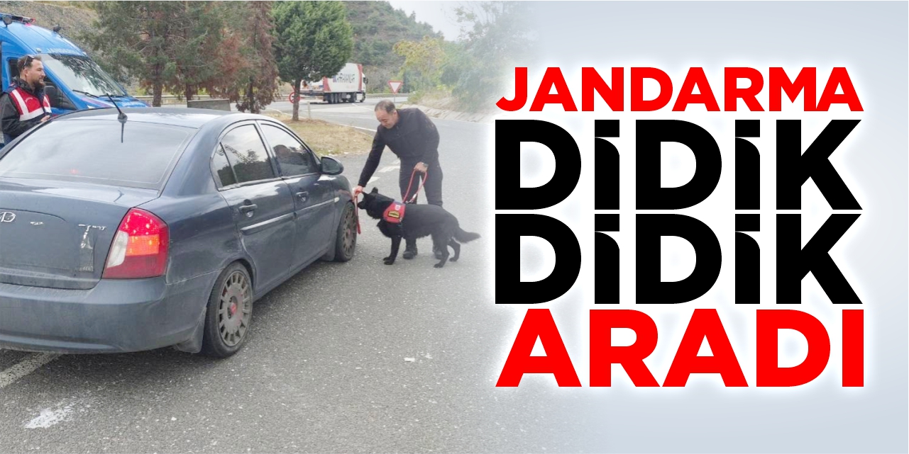 Jandarma didik didik aradı!