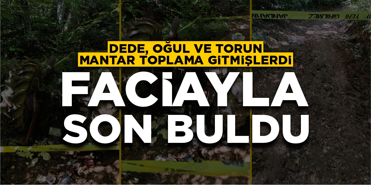 Mantar toplamaya gitmişlerdi: Faciayla son buldu!