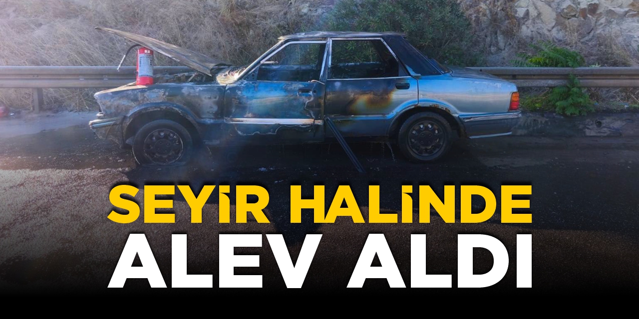 Bilecik'te otomobil seyir halinde alev aldı