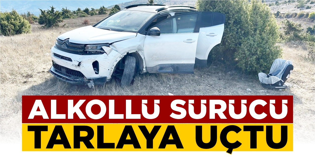 Alkollü sürücü tarlaya uçtu!