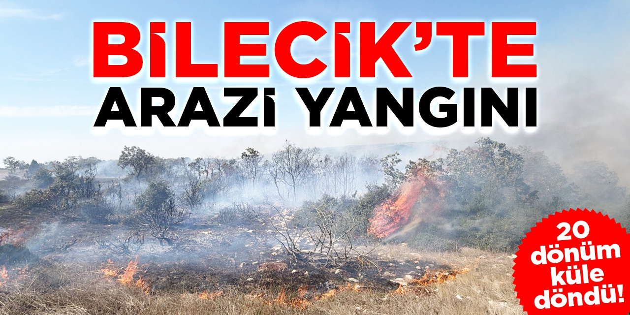 Bilecik’te arazi yangını: 20 dönüm alan küle döndü!